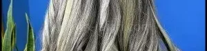Hair20color20tutorial-03