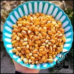 طرز تهیه پسته زعفرانی خانگی برای شب یلدا، خوشمزه و آسان - Homemade20saffron20pistachios20for20Yalda20night20recipe 01