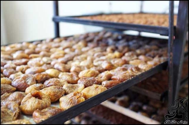 https://up.rozbano.com/view/3533516/How%20to%20dry%20figs%20at%20home-01.jpg