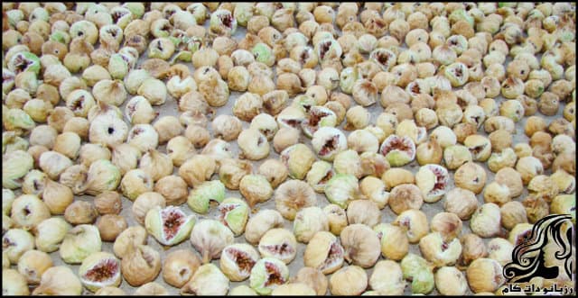 https://up.rozbano.com/view/3533517/How%20to%20dry%20figs%20at%20home-03.jpg