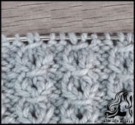 Indigo20umbilical20cord20tissue20training-01