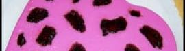 Jelly20leopard-07
