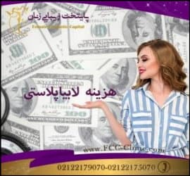 هزینه عمل لابیاپلاستی - Labioplasty 02