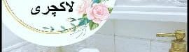 Making20a20luxury20toilet20seat-01