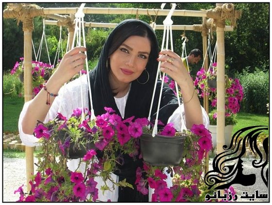 https://up.rozbano.com/view/1719477/Matin-Sotoudeh-rozbano-com-3.jpg