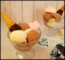 آشپزی و طرز تهیه بستنی وانیلی کاکائو یی نسکافه ای - Nescafe20cocoa20vanilla20ice20cream 01