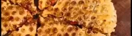 Pan20pizza20with20lavash20bread20recipe-01