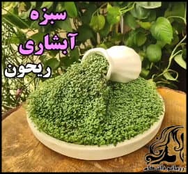 آموزش کاشت سبزه آبشاری ریحان - Planting20basil20cascading20greens 01