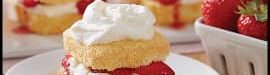 Strawberry20Shortcake-02