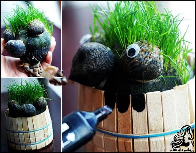 https://up.rozbano.com/view/3085344/Teddy%20Brunette%20Planting-05.jpg