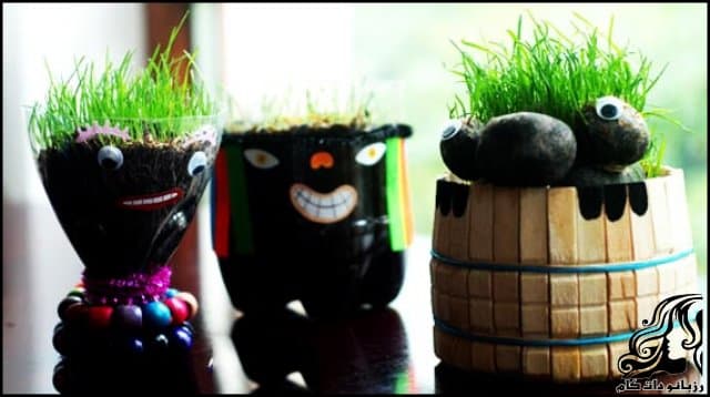 https://up.rozbano.com/view/3085345/Teddy%20Brunette%20Planting-06.jpg