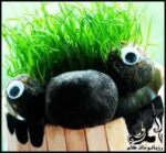 آموزش گام به گام کاشت سبزه عید به شکل عروسک - Teddy20Brunette20Planting 07