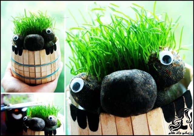https://up.rozbano.com/view/3085339/Teddy%20Brunette%20Planting.jpg