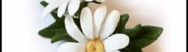 Training20Making20Chamomile20Flower20With20Felt-21