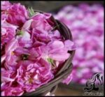 آنچه باید در مورد گلاب بدانید... - What20you20need20to20know20about20rose20water 03