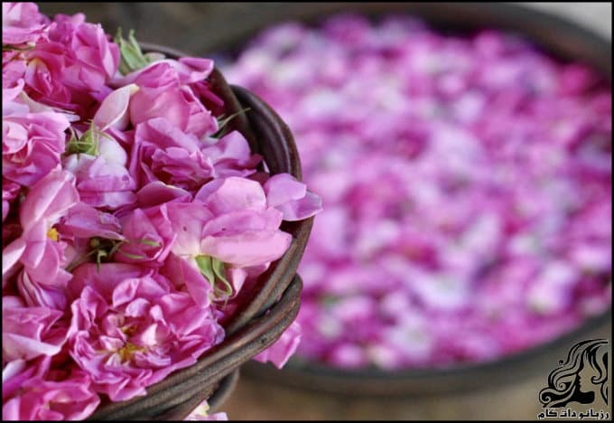 https://up.rozbano.com/view/3080830/What%20you%20need%20to%20know%20about%20rose%20water.jpg