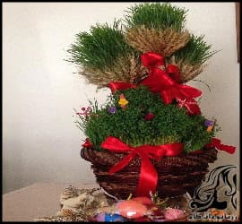 آموزش آماده سازی و کاشت سبزه خوشه گندم - Wheat20cluster20Brunette 01