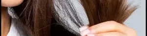 a20variety20of20ways20to20treat20split20ends-01