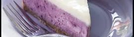 blueberry20cheesecake