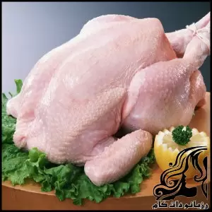 نکات خرید مرغ سالم - chicken20healthy20shopping20tips 02
