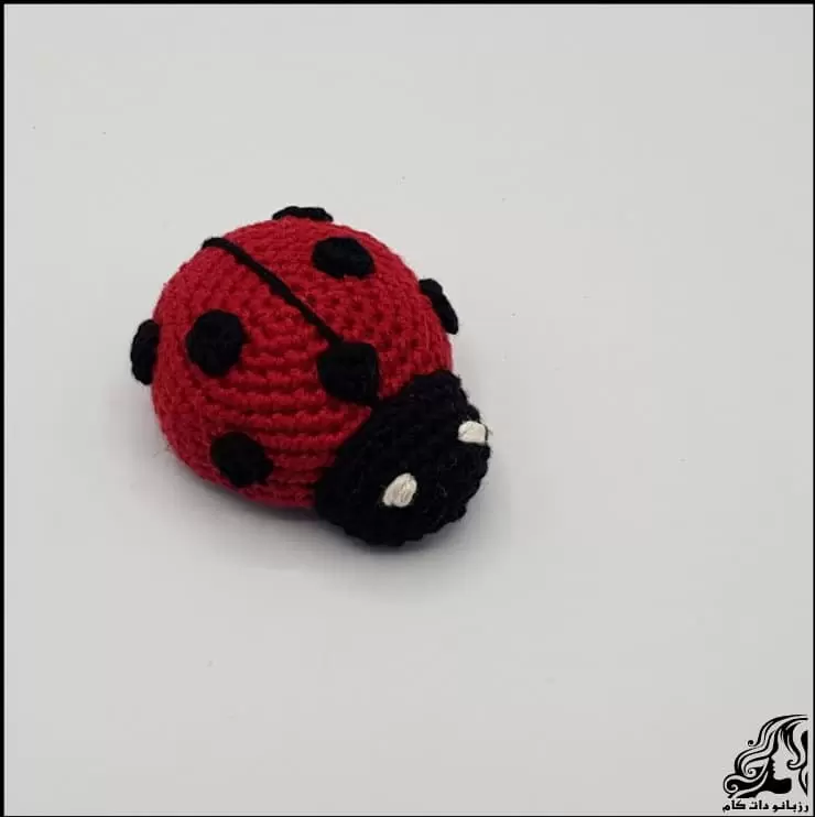 https://up.rozbano.com/view/3871332/crochet%20Ladybug%20magnet%20tutorial.webp