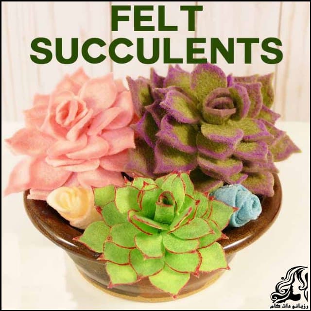 https://up.rozbano.com/view/3031171/how%20to%20make%20felt%20succulent%20flowers.jpg