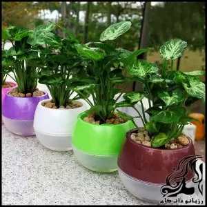 روش های نگهداری گل در گلدان در مدت زمان طولانی - maintenance20procedures20flowers20in20a20vase20in20a20long20time 02