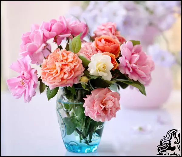 ترفندهای افزایش ماندگاری گل در گلدان خانگی