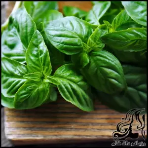 روش آماده کردن سبزی خورش قورمه سبزی - methods20of20preparing20the20vegetable20stew20pot20roast20vegetables 02