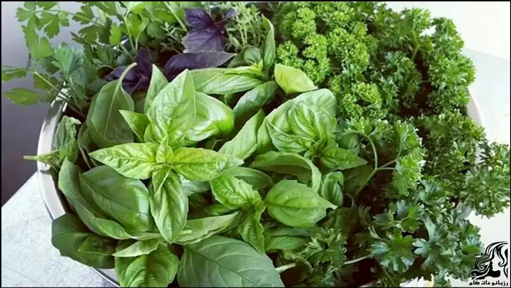 فوت و فن شستن و خرد کردن سبزی خورش قورمه سبزی تازه
