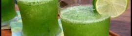 mojito-02