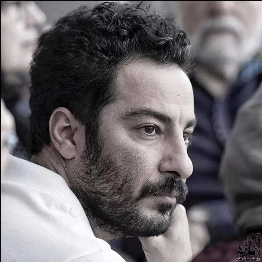 بیوگرافی نوید محمدزاده بازیگر ایرانی