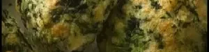 prepare20spinach20gholghol-01