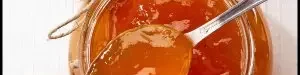 providing20training20apricot20jam-01