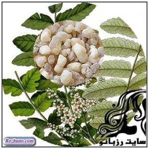 کندر و بیش فعالی - rozbano 02