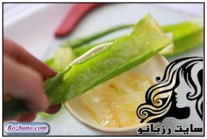 فواید و مضرات آلوئهورا برای پوست - rozbano 04