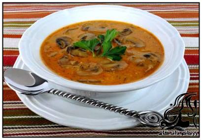 طرز تهیه سوپ قارچ مجارستانی - rozbano 105 6