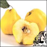 معرفی خواص «به» - rozbano 116 1 1