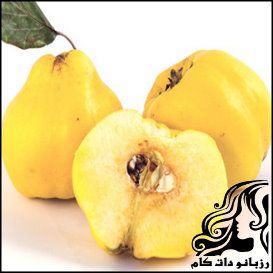 معرفی خواص «به» - rozbano 116 1 1