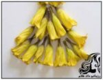 لباس هایی از جنس طبیعت - rozbano 118 18