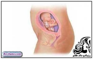 نکاتی برای شروع بارداری - rozbano 131 12