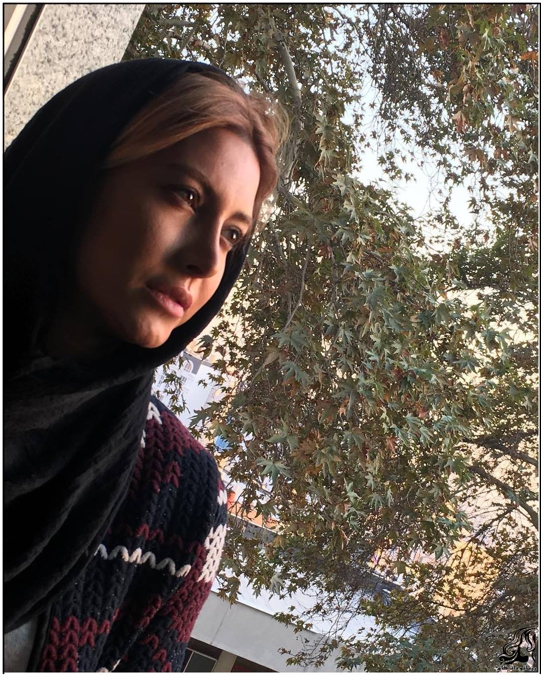 https://up.rozbano.com/view/1930775/rozbano-152-3.jpg