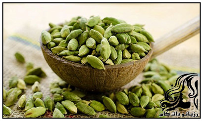 فواید درمانی هل در طب سنتی - rozbano 154 10