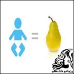همه چیز راجع به هفته شانزدهم بارداری - rozbano 16 5 1