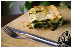 طرز تهیه لازانیا گیاهی - rozbano 168 19