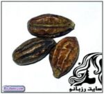 فواید و خواص هلیله سیاه در طب سنتی - rozbano 17 2