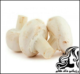 طرز تهیه انواع غذا با قارچ - rozbano 170 1 1