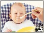 غذایی مناسب برای صبحانه کودک تا 2 سالگی - rozbano 177 14