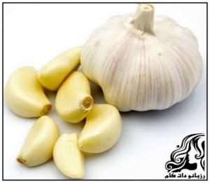 آنتی بیوتیک های بی نظیر طبیعی - rozbano 188 19