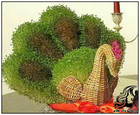 آموزش کاشت سبزه عید به شکل طاووس - rozbano 190 18